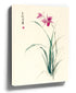 Pink orchid sumi-e Japanese ink wash watercolor painting on canvas, delicate leaves wall art