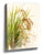 Gold and jade rice stalks botanical wall art for minimalist kitchen decor