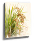 Gold and jade rice stalks botanical wall art for minimalist kitchen decor