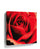 Romantic red rose canvas wall art in a room setting