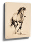 Black and white horse watercolor wall art – horse wall decor shown in a styled room