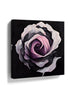 Blooming pink flower wall art on a black background for minimalist bedroom decor