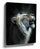Photorealistic white lion roaring on black background wall art