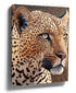 Pointillist leopard wall art for minimalist living room