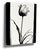 Modern Tulip black and white minimalist wall art print, framed and styled in a contemporary room