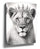 Crowned lioness canvas print wall art, royal elegance, shown in a room setting
