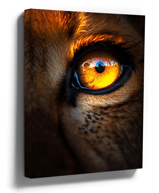 Close-up photograph of a lion cub’s eye in warm amber tones — wildlife wall art