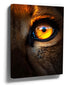 Close-up photograph of a lion cub’s eye in warm amber tones — wildlife wall art