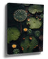 Serene water lily wall art with calming aquatic flowers for zen living room decor