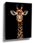 Front-facing embroidered giraffe portrait wall art on a black background