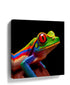 Red-Eyed Tree Frog canvas wall art for a modern living room