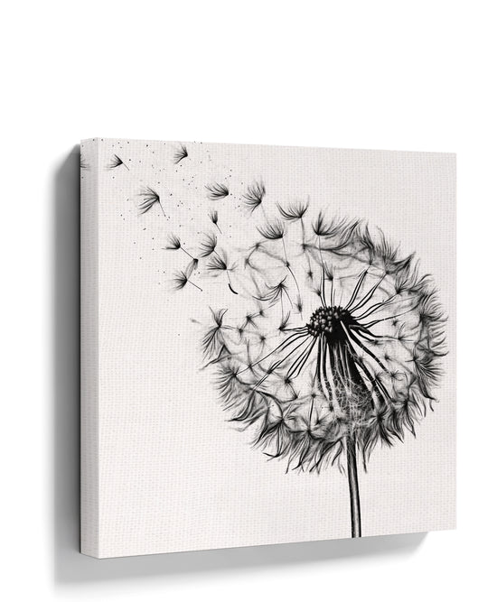 Black and white dandelion wall art for minimalist bedroom decor