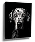 Black and white Dalmatian canvas wall art for minimalist office decor