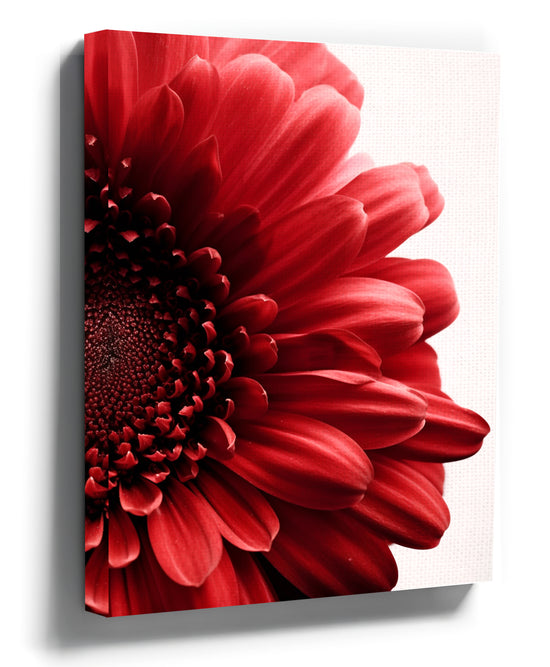 Red flower macro canvas wall art for living room decor