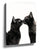 Face-to-face black cats wall art for minimalist living room decor