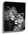 Black and white canvas photo print of a lion and lioness embracing