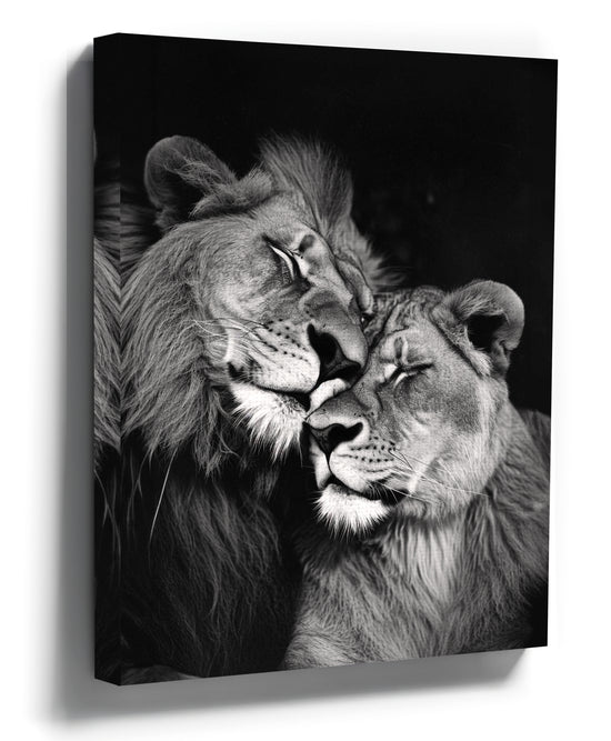 Black and white canvas photo print of a lion and lioness embracing
