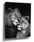 Black and white canvas photo print of a lion and lioness embracing