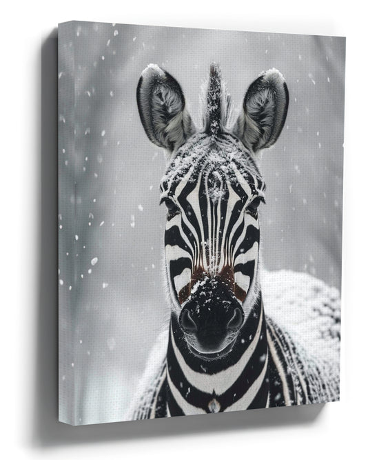 Black and white zebra canvas wall art in falling snow for living room decor