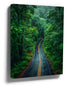 Lush forest road canvas wall art for a minimalist bedroom