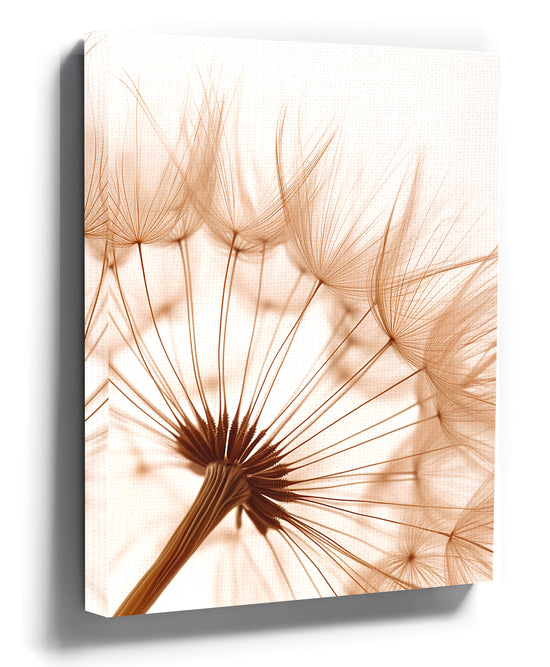 Macro dandelion canvas print for minimalist bedroom wall decor