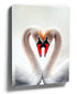 Swan couple forming a heart with their necks, orange beaks, light background wall art