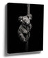 Soothing black-and-white koala portrait wall art for living room decor