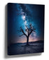 Blue Milky Way galaxy over a lone desert tree – night sky photography canvas wall art