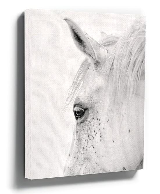 Black and white minimalist canvas art of a white horse profile portrait
