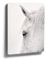 Black and white minimalist canvas art of a white horse profile portrait