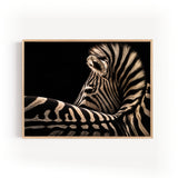 Poster & affiche zèbre rayures dorées sur fond noir, style photographique animalier élégant