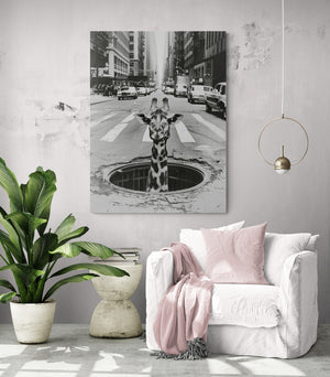 pièce de vie, coussin et plaid rose pâle, table d'appoint, grande plante verte, grand tableau girafe noir et blanc, mur blanc.