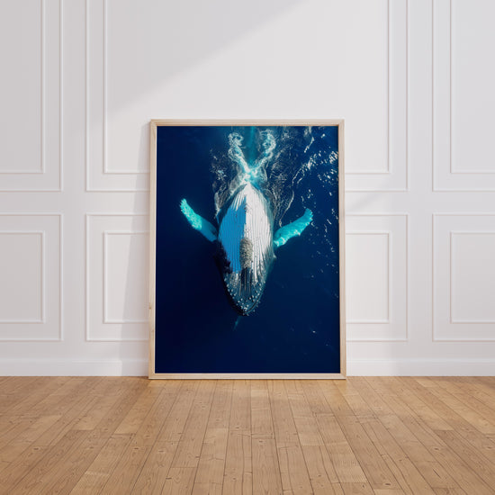 Poster Baleine - Douceur bleue des grands fonds marins — Vierge - living-room
