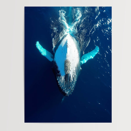 Poster Baleine - Douceur bleue des grands fonds marins — Vierge - poster-presentation-produit