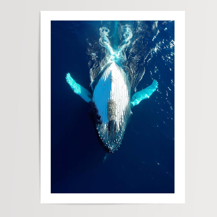 Poster Baleine - Douceur bleue des grands fonds marins — Vierge - poster-presentation-produit — passe-partout blanc