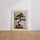 Poster Bonsaï zen - Patience végétale et harmonie silencieuse — Vierge - living-room — passe-partout blanc