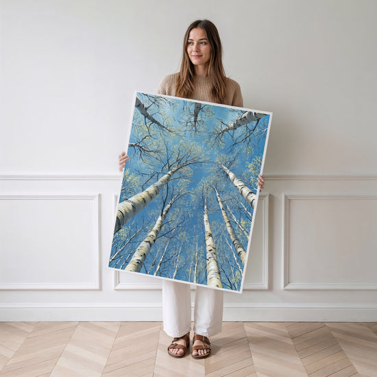 Poster Bouleaux - L'appel du ciel entre les troncs blancs — Vierge - poster-femme-debout