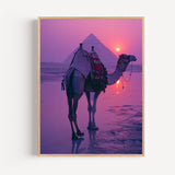 Poster Chameau du désert - Silhouette au crépuscule doré