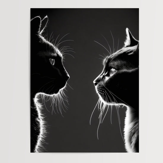 Poster Chats mystiques - Deux regards noirs qui se défient — Vierge - poster-presentation-produit
