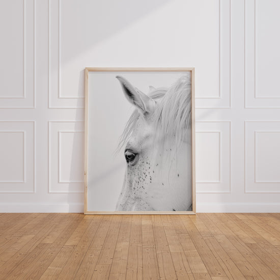 Poster Cheval blanc - Douceur et grâce d'un portrait apaisant — Vierge - living-room