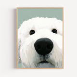 Poster Chien blanc - Compagnon fidèle au regard apaisant