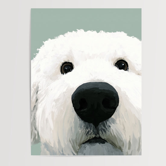 Poster Chien blanc - Compagnon fidèle au regard apaisant — Vierge - poster-presentation-produit