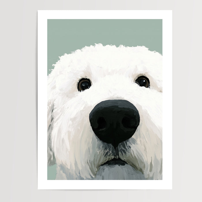 Poster Chien blanc - Compagnon fidèle au regard apaisant — Vierge - poster-presentation-produit — passe-partout blanc