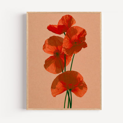 Poster Coquelicots - Douceur champêtre et lumière d'un été