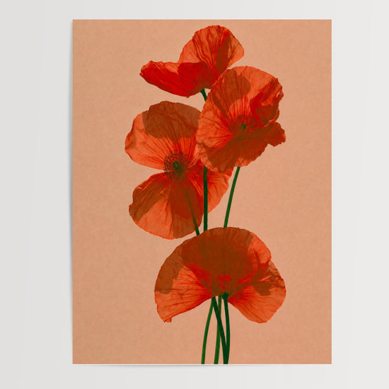 Poster Coquelicots - Douceur champêtre et lumière d'un été — Vierge - poster-presentation-produit