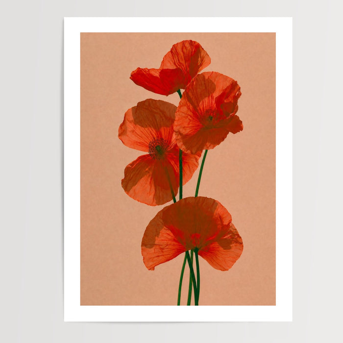 Poster Coquelicots - Douceur champêtre et lumière d'un été — Vierge - poster-presentation-produit — passe-partout blanc