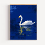 Poster Cygne blanc - Sérénité glissée sur un lac bleu nuit