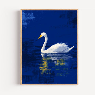 White Swan Wall Art Print on a Midnight Blue Lake