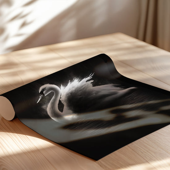 Poster Cygne - Grâce épurée en noir et blanc — Vierge - poster-enroullé