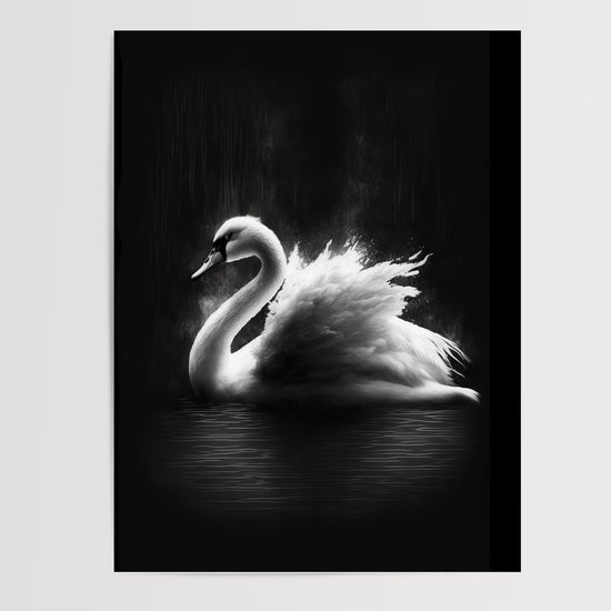 Poster Cygne - Grâce épurée en noir et blanc — Vierge - poster-presentation-produit
